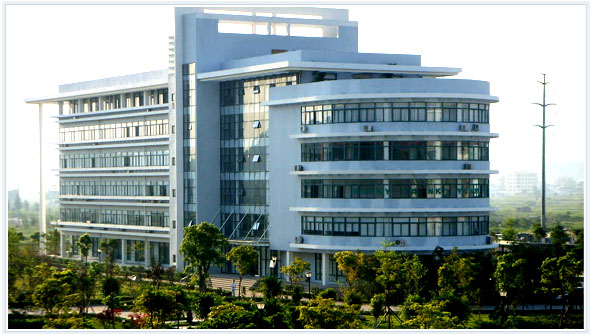 ��ϵ����